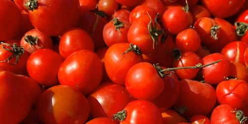 Tomato Preservation Class with MSU Extension