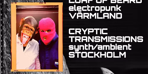 Loaf of Beard + Cryptic Transmissions