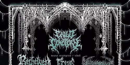 DISMAL ASCENDANCY FEST II 