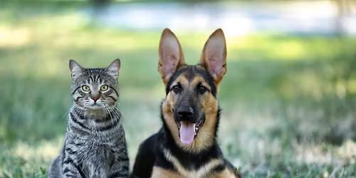 Annual Santa Paws Event hosted by Ken Stoepel Ford