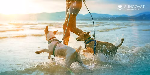 Suncoast Christmas Event