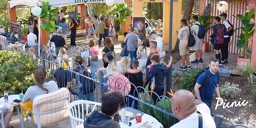 \ud83c\udf34Latin Fiesta at Picnic Park Deli \ud83c\udf89