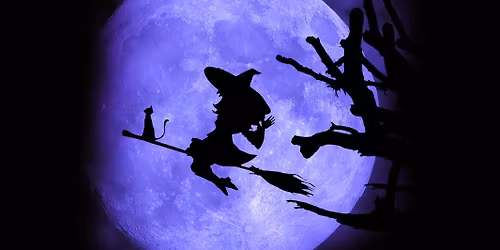 P\u00e1len\u00ed \u010darod\u011bjnic v Holic\u00edch