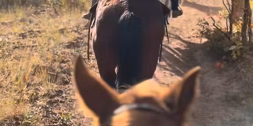 Women\u2019s Equine Retreat