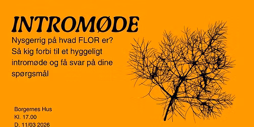 Introm\u00f8de i FLOR Odense