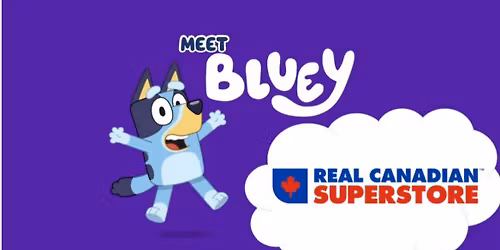 Meet Bluey