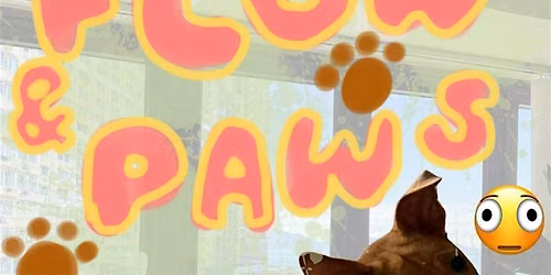 Flow & Paws