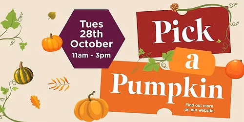 Pick A Pumpkin