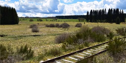 Tim Peinen - Jenseits Von Belgien