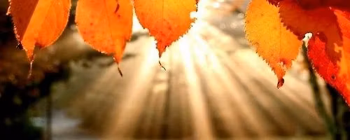 Nourishing Autumn Half-Day Retreat \u2728