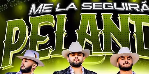 LOS AUSTEROS DE DURANGO, LOS MARINEROS & MAS