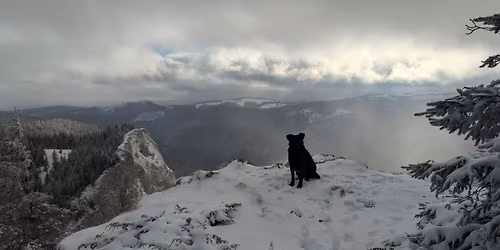 Drume\u021bie Post-Cr\u0103ciun: Circuitul Pietrele Albe (Masivul Vl\u0103deasa)