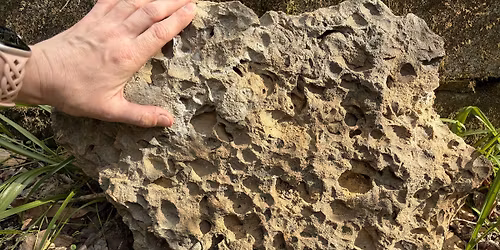 Fossil Frenzy @ Swatara State Park