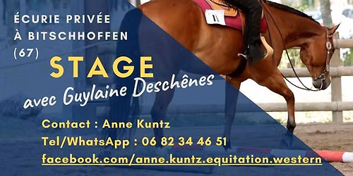 Stage avec Guylaine Desch\u00eanes : Trail & Performance