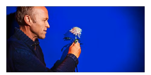 Stef Bos \u2022 Bloemlezing 2025