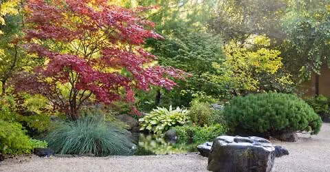 Guided Serenity Walk - Balance & Harmony