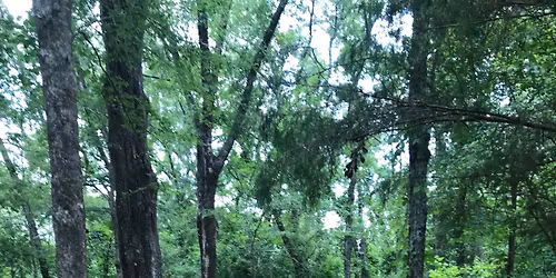 The ADGA Turkey Toss