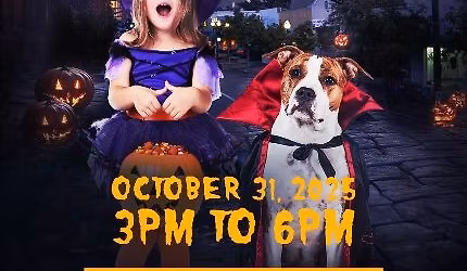 Halloween Spooktacular