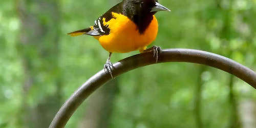 Wakefield Valley Golf Course in Carroll County