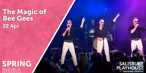 The Magic of Bee Gees