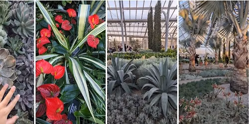 Speaker: The How of WOW!!!  by Karl Gercens, Longwood Gardens Conservatory Manager