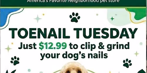 Toe Nail Tuesday 4-7pm