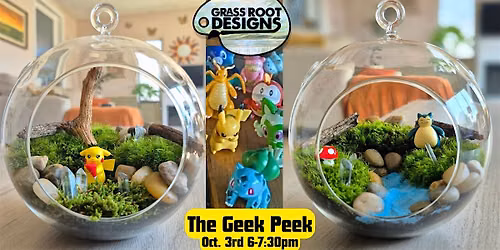 Make a Pok\u00e9mon Terrarium at The Geek Peek