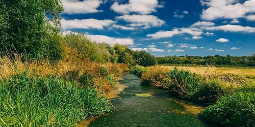 Summer walk at Winnall Moors Nature Reserve