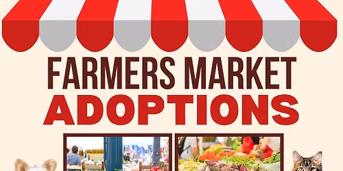 Adoptions at the Farmers Market