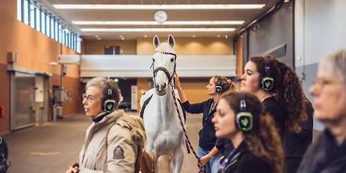 EGAS Annual Event 2025: Equine Gait Analysis