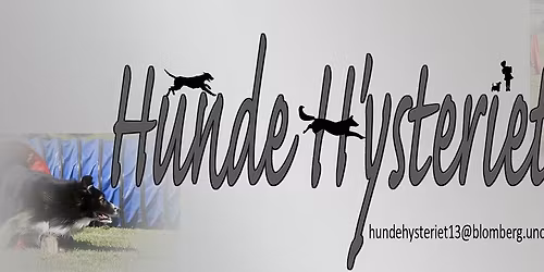 Agility kurs med Irene Yrstad, handling.