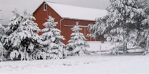 Winter on the Farm