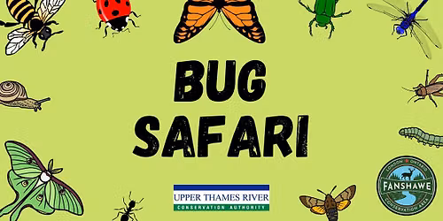 Bug Safari at Fanshawe CA