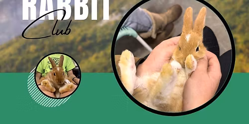 Rabbit Club