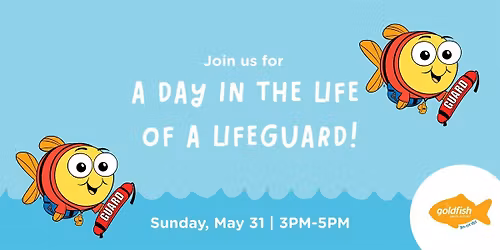A Day in the Life of a Lifeguard