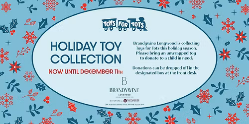 Holiday Toy Collection