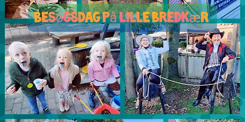 Bes\u00f8gsdag med salg af andestege