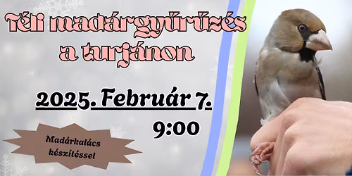 T\u00e9li mad\u00e1rgy\u0171r\u0171z\u00e9s a turj\u00e1non \u2013 mad\u00e1rkal\u00e1cs k\u00e9sz\u00edt\u00e9ssel