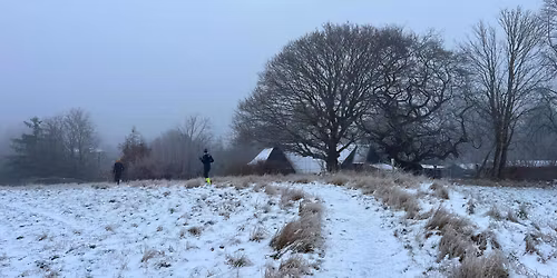 SpriT Frontyard Frozen (Torna H\u00e4llestad)