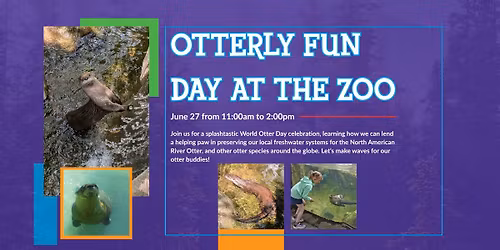 Otterly Fun Day at the Zoo