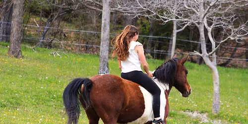 Stage "Vers la libert\u00e9 \u00e0 pieds et le freestyle mont\u00e9"
