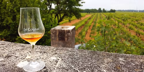 Bordeaux, Francja \ud83c\uddeb\ud83c\uddf7 \u2013 gdzie wino opowiada histori\u0119. Wyjazd wyniarski z Globtour!