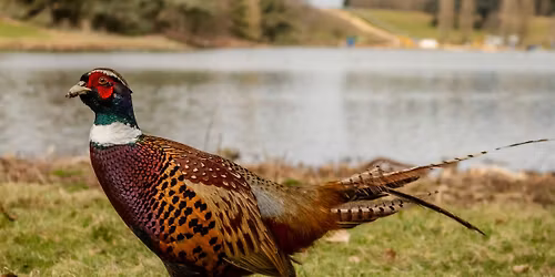 Tenx9 true stories: Game!