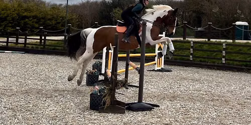 NRC Evening Show Jumping\ud83d\udc9b