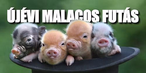 \u00daj\u00e9vi Malacos Fut\u00e1s 2026