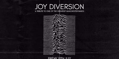 Joy Diversion (Joy Division Tribute)