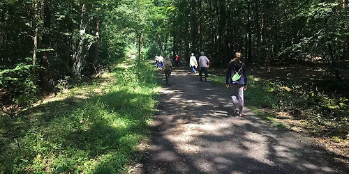Yoga Wanderung durch den Tegeler Forst