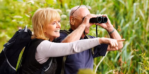 Beginner Birding Workshop at Sharon Audubon Center