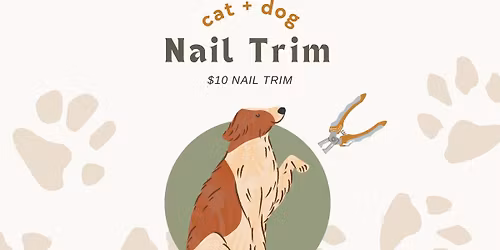 $10 Nail Trims