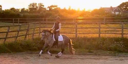 Classical Dressage Clinic with Mike Aylmore @ Brook Stud, Chippenham, Wilts